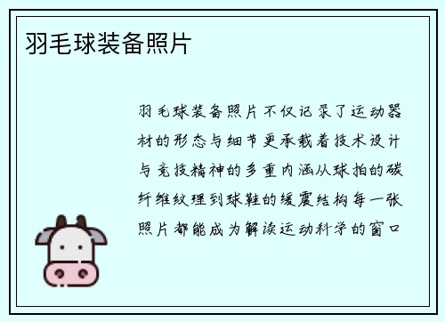 羽毛球装备照片